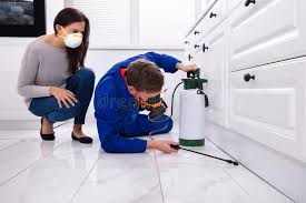 Best Pest Control for Multi-Family Homes  in Dravosburg, PA